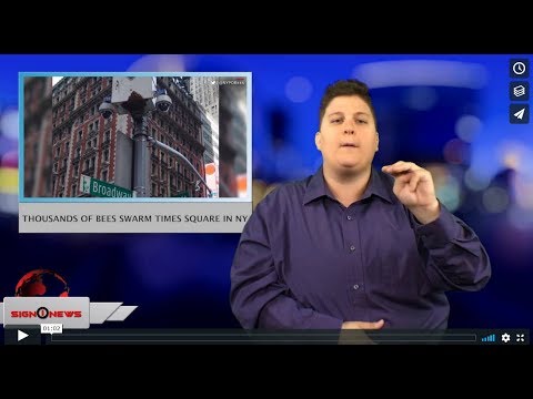 Thousands of bees swarm Times Square in NY (ASL - 6.19.18)