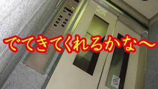 【怪談朗読】でてきてくれるかな～【怖い話】