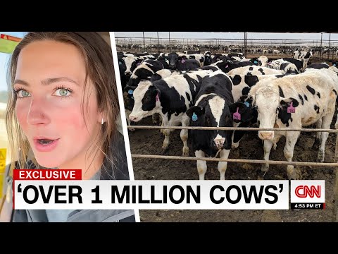 The BIGGEST Dairy Farms In The World REVEALED..