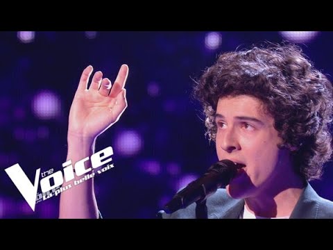 Daniel Balavoine - SOS d'un terrien en détresse- Gabriel Lobao | The Voice 2024 | Super CrossBattles