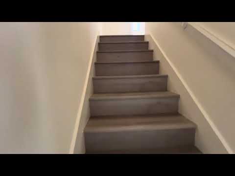 1981 Chestnut - Video 2 of 2