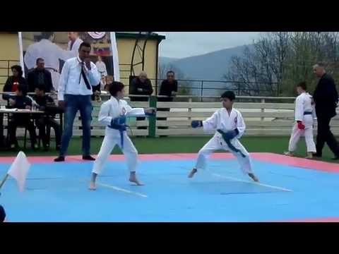 Goris karate