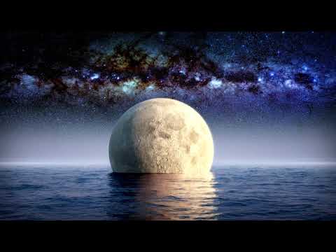 Afterlife - Midnight ft:Neve