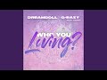 Who You Loving