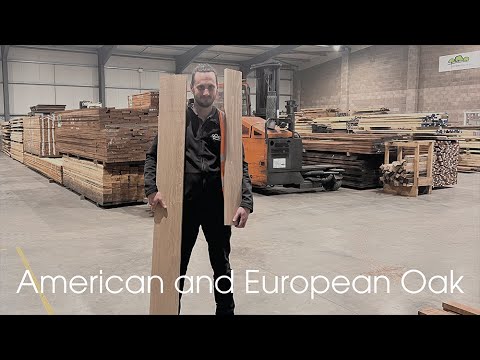 Whats the difference between American and European oak? – Wiki REF