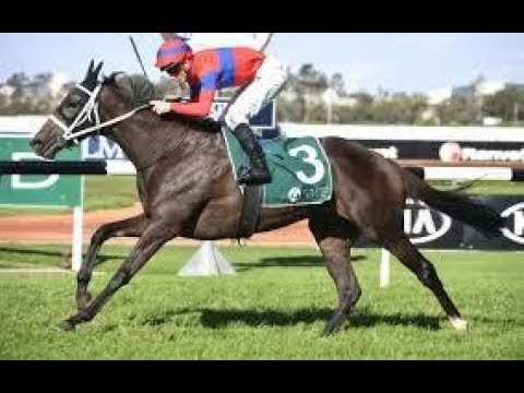 2019 ATC Vinery Stud Stakes