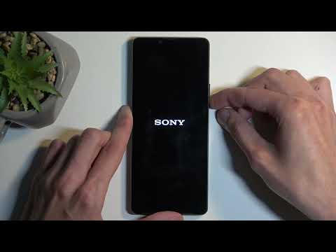 How to Hard Reset SONY Xperia 10 VI via Recovery Mode