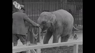 The Thirteenth Instant (1940) | BFI National Archive