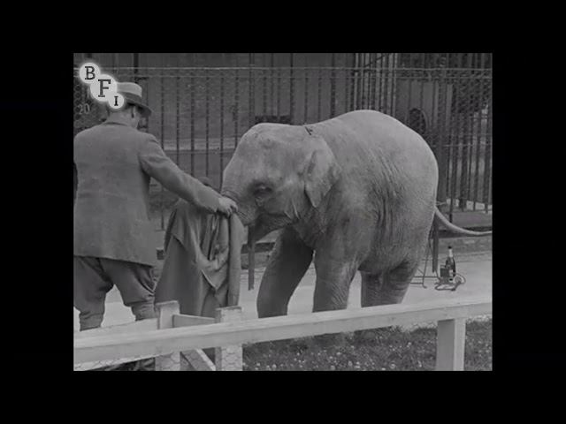 The Thirteenth Instant (1940) | BFI National Archive