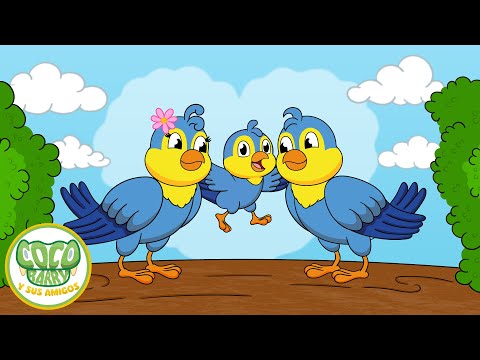 Papás Pajaritos 🐤 Cuentos Infantiles 🐊 Coco Barry y sus amigos