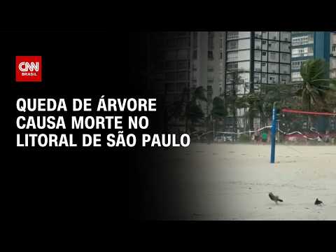 Ventania de mais de 100km/h causa queda de árvore e morte em Santos, no litoral paulista | CNN 360°