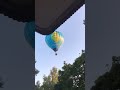He Watches Ogre Us All Shrek Hot Air Balloon Shorts