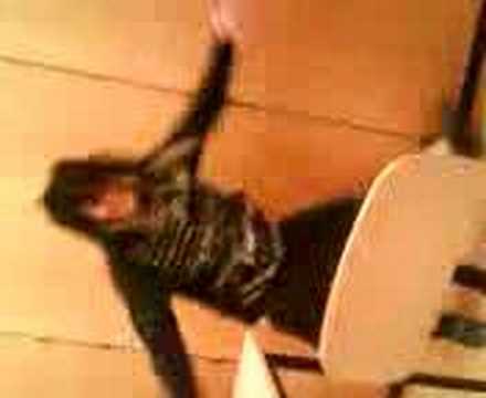 Emo-Dansen (Moa Johansson)