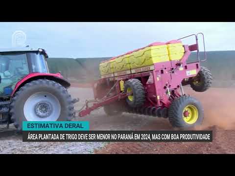Área plantada de trigo deve ser menor no Paraná em 2024, mas com boa produtividade