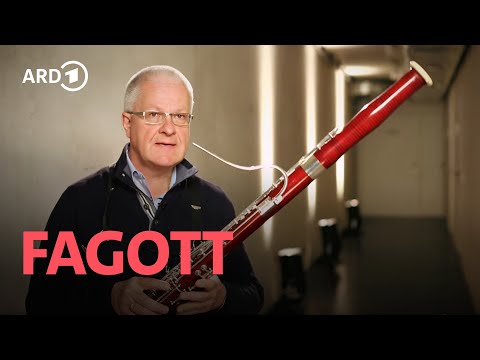 Bassoon | Eckart Hübner | Instruments in the Symphony Orchestra | SWR Classic