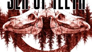 Sea of Teeth  -  Loose Ends