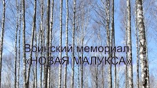 Воинский мемориал "Новая Малукса". 8 мая 2017г.