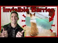 Easily And Quickly Teach Your Dog Boundaries The Invisible Barrier