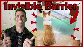 Easily and Quickly Teach Your Dog boundaries. The Invisible Barrier!