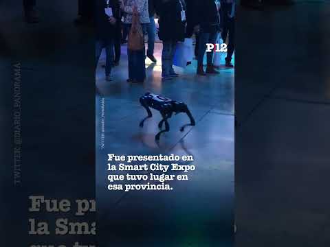 👮🏻‍♂️La policía santiagueña incorporó un perro robot bautizado "Cabo Lugones”