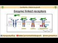 Enzyme linked receptors | Receptor Tyrosine Kinase | Cell Signaling