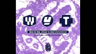 Wag Ya Tail Featuring Lonnie Liston Smith – Xpand Ya Mind (Expansions)(12'' Vocal Master)