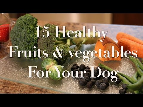 15 Fruits and Vegetables you can feed your dog