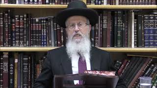 הגאון הרב אברהם יוסף שליט"א האם אדם יוצא ידי חובת ספירת העומר על ידי כתיבה (הערוץ של הרב אברהם יוסף) - התמונה מוצגת ישירות מתוך אתר האינטרנט יוטיוב. זכויות היוצרים בתמונה שייכות ליוצרה. קישור קרדיט למקור התוכן נמצא בתוך דף הסרטון