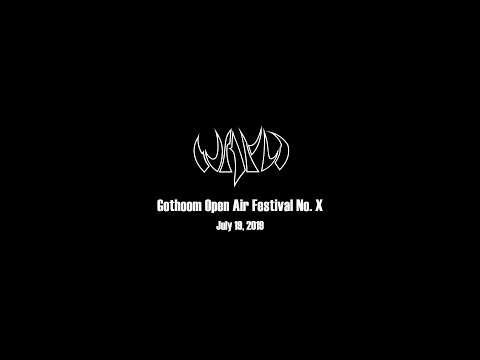 Wayd - Wayd - Mindstorm (Live at Gothoom Open Air festival 2019)