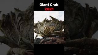 Download lagu Evolution of Giant Crab #shorts #evolution mp3 Download lagu Evolution of Giant Crab #shorts #evolution mp3