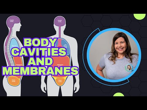 Intro to the Human Body: Body Cavities and Membranes Explained