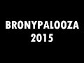 Bronypalooza 2015 - BronyCon 