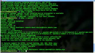 Check if a program is installed  Linux - Debian - dpkg - shell script - BASH