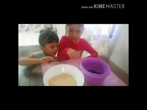 Almond Nibs Chocolate