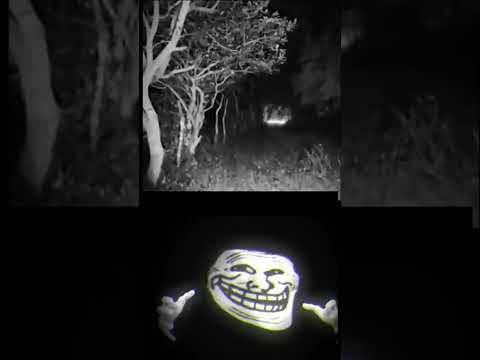 El Charro Negro 💀