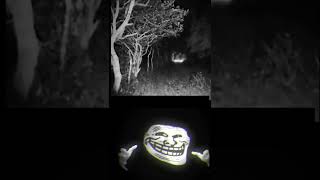 El Charro Negro 💀