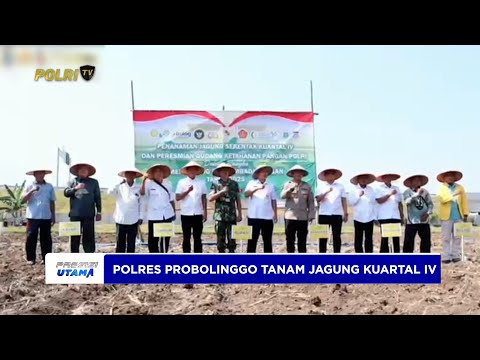POLRES PROBOLINGGO MELAKSANAKAN PENANAMAN JAGUNG KUARTAL IV