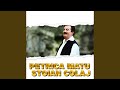Petrica Matu Stoian Colaj