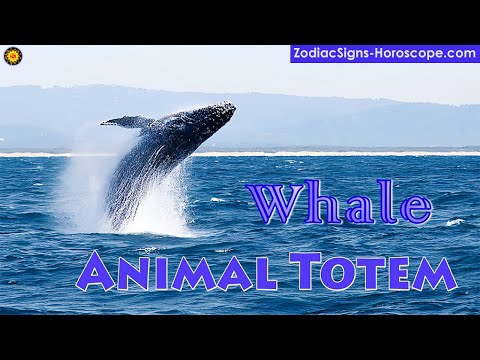Whale Animal Totem - Whale Spirit Animal Meaning, Symbolism, Dream of the Whale Totem