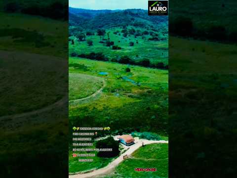 FAZENDA PRONTA A VENDA EM ITAMBACURI-MG 70.8 ALQUEIRES 90 MIL REAIS POR ALQUEIRE ☎️33.99902.8393