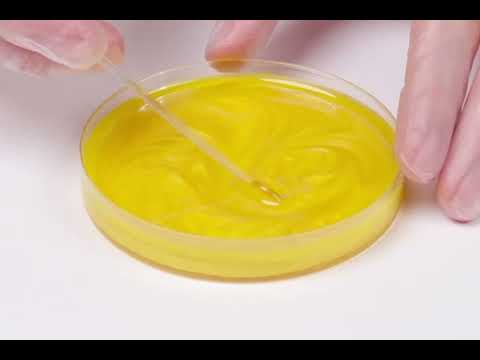 Limun žuti metalik pigment EPODEX