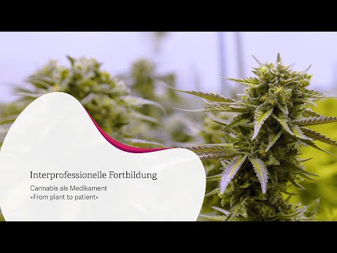 Cannabis als Medikament | Online-Fortbildungsveranstaltung