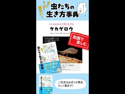 なぜツゲの蛾捕りを作るのですか？万全の予防！  庭園