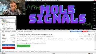 MQL5 signals. How to subscribe to profitable signals providers? Video tutorial
