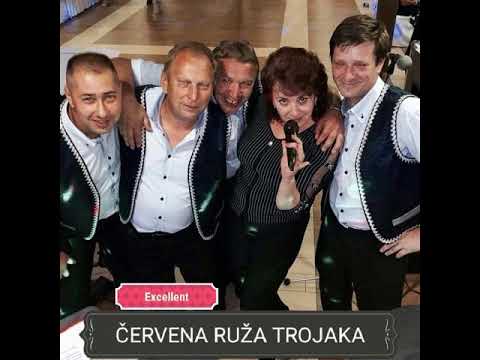 EXCELLENT : Červená ruža trojaká