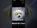 Original YouTube Picture 2022 First Video Made In May 2023
