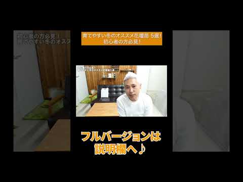 苗を何に入れますか？ 4 つの回復アイデア + ビデオ手順  庭園