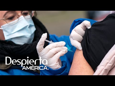 ¿Es posible aplicarse la vacuna de la influenza y la de covid-19 a la vez? Los doctores responden