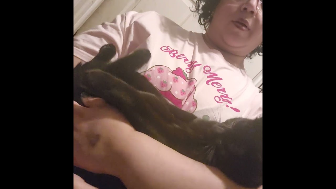 Enlarge Jolly, an adopted mixed breed in New York, NY video 2/4