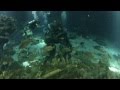 Epcot Center The Seas With Nemo Friends Sea Base Pavilion 1080p HD Walt Disney World